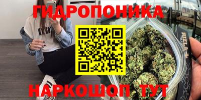 дмт Краснодар