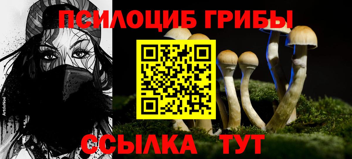 Псилоцибиновые грибы Cubensis  Вход с VPN  Галлюциногенные грибы ЛСД  Корсаков 